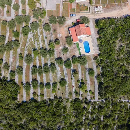 Korcula Pelegrin Close To The Sea Vela Luka
